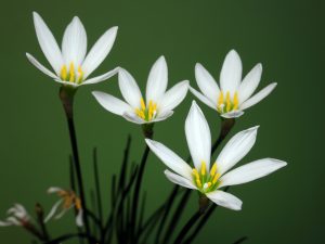 (60+ Photos & Vidéos) + Avis