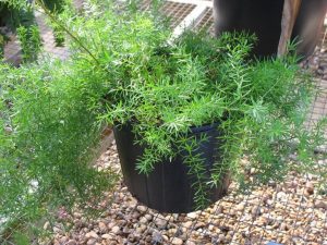 (50+ Photos & Vidéos) + Avis