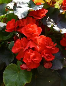 (45+ Photos & Vidéos) + Avis