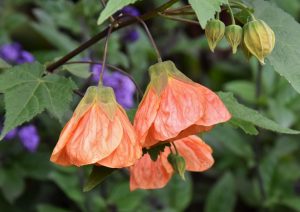 (50+ Photos & Vidéos) + Avis