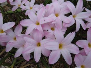 (60+ Photos & Vidéos) + Avis