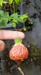 (50+ Photos & Vidéos) + Avis