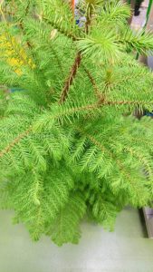 (65+ Photos & Vidéos) + Avis