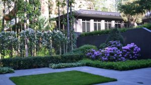 (100+ photos et vidéos)