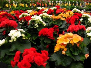 (45+ Photos & Vidéos) + Avis