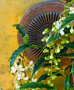 (65+ Photos & Vidéos) + Avis