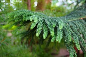 (65+ Photos & Vidéos) + Avis