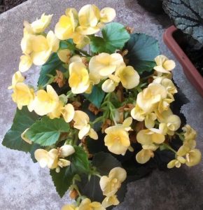 (45+ Photos & Vidéos) + Avis