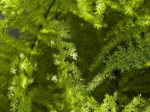 (50+ Photos & Vidéos) + Avis