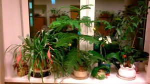 (65+ Photos & Vidéos) + Avis