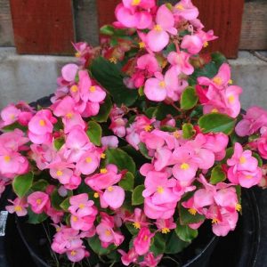 (45+ Photos & Vidéos) + Avis