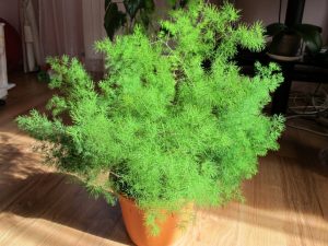 (50+ Photos & Vidéos) + Avis