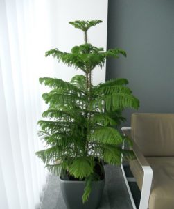 (65+ Photos & Vidéos) + Avis