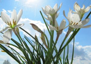 (60+ Photos & Vidéos) + Avis