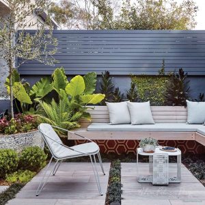 (100+ photos et vidéos)