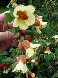 (50+ Photos & Vidéos) + Avis