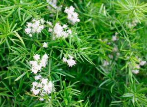 (50+ Photos & Vidéos) + Avis