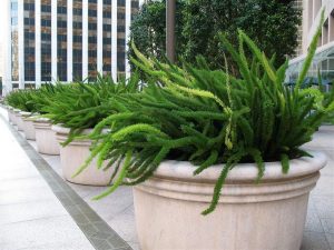 (50+ Photos & Vidéos) + Avis