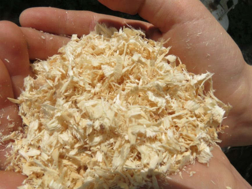 La sciure de bois ne permettra pas à l'excès d'humidité de s'accumuler