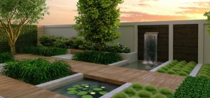 (100+ photos et vidéos)