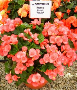 (45+ Photos & Vidéos) + Avis