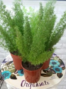 (50+ Photos & Vidéos) + Avis