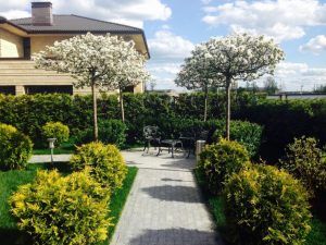 (100+ photos et vidéos)