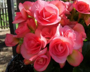 (45+ Photos & Vidéos) + Avis