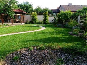 (100+ photos et vidéos)