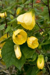 (50+ Photos & Vidéos) + Avis