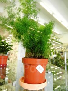 (50+ Photos & Vidéos) + Avis