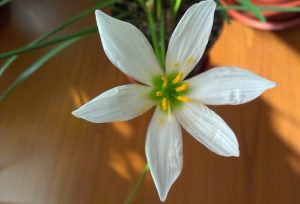 (60+ Photos & Vidéos) + Avis