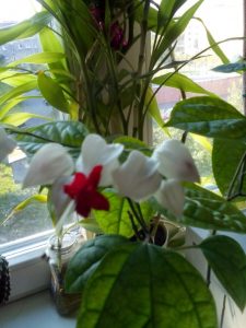 (65+ Photos & Vidéos) + Avis