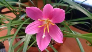 (60+ Photos & Vidéos) + Avis