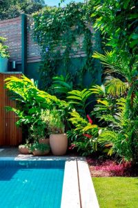 (100+ photos et vidéos)