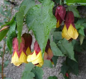 (50+ Photos & Vidéos) + Avis