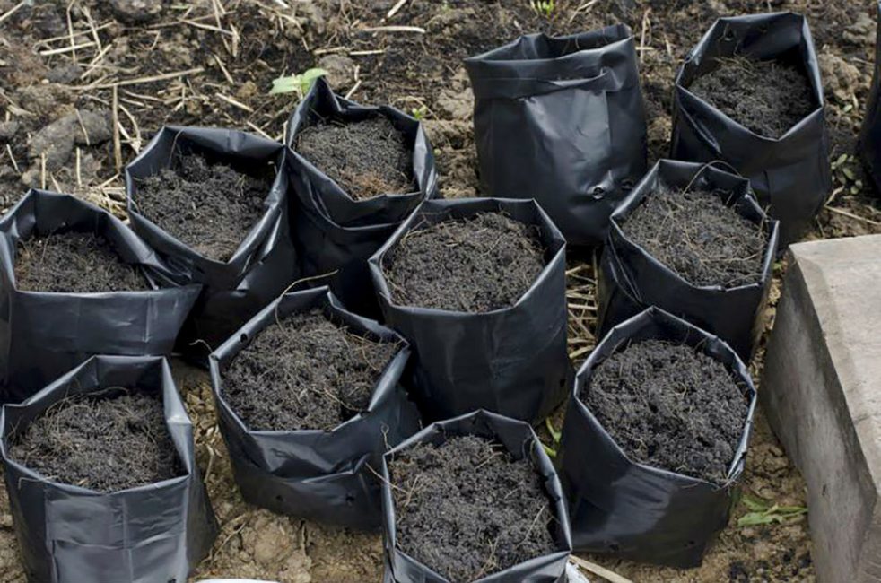 Stockage dans des sacs