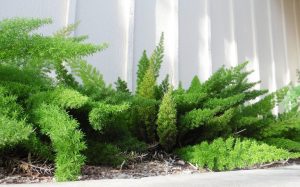 (50+ Photos & Vidéos) + Avis