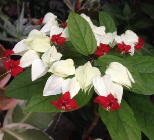 (65+ Photos & Vidéos) + Avis