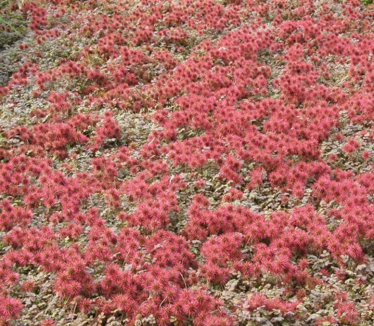 Qu'en est-il du prix