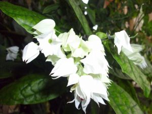 (65+ Photos & Vidéos) + Avis