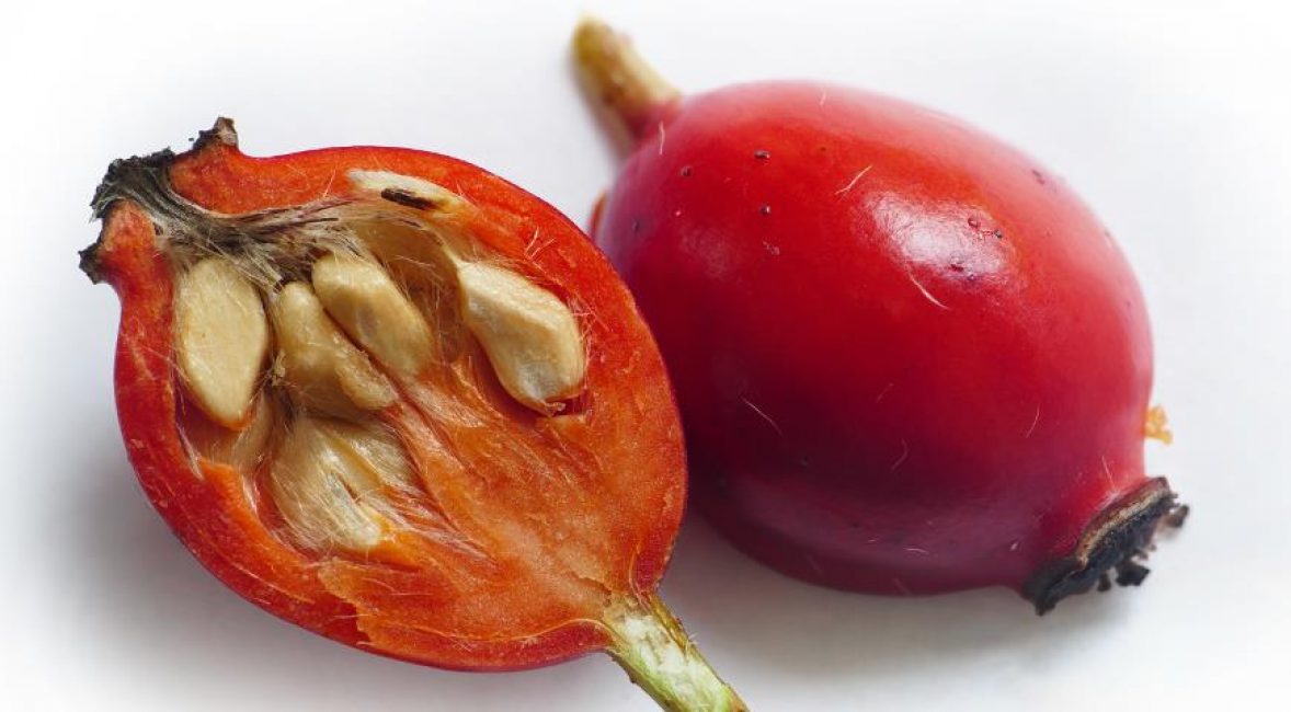 Fruits roses frais mûrs avec des graines