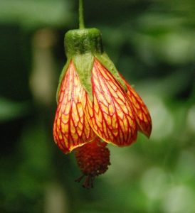 (50+ Photos & Vidéos) + Avis