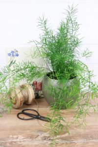 (50+ Photos & Vidéos) + Avis