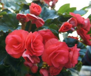 (45+ Photos & Vidéos) + Avis