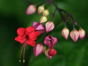 (65+ Photos & Vidéos) + Avis