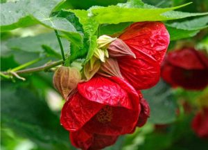 (50+ Photos & Vidéos) + Avis