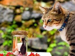 Bougeoirs à faire soi-même: pour la nouvelle année, à partir d