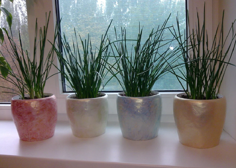 Sélection de contenants pour fleurs