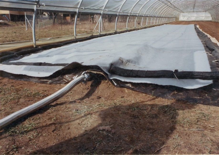 Préparation du sol au printemps dans la serre